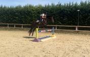 PONETTE 5 ANS