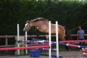 POULICHE 2 ANS PREND 3 EN 2026