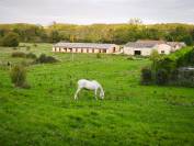 Stud farm  Yonne