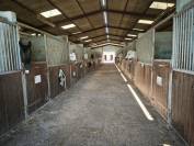 Stud farm  Yonne