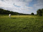 Stud farm  Yonne