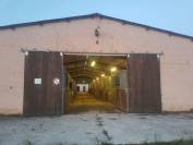 Stud farm  Yonne