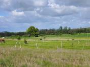 Stud farm  Yonne