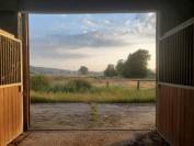 Stud farm  Yonne