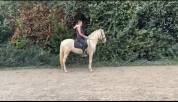 Perlino 3 ans
