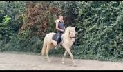Perlino 3 ans