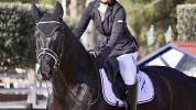 Hongre 7 ans par Governor par Totilas x Apache 