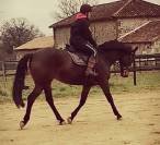 Belle Jument 