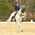 Cheval de balade