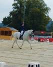 Cheval de balade