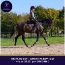 Belle jument 4 ans en 2026 par COKORIKO