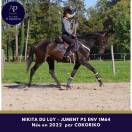 Belle jument 4 ans en 2026 par COKORIKO