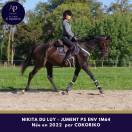 Belle jument 4 ans en 2026 par COKORIKO