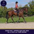 AQPS 5 ans env 1m68 top cheval