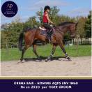 AQPS 5 ans env 1m68 top cheval