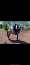 Magic Poney de 3 ans 