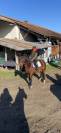 Little Ponette de 4 ans 