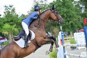 Top Jument Zangersheide Course Pours’huit Z, 10 ans