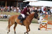 Hongre cso amateur 