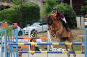 Hongre cso amateur 