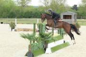 LOVERBOY MAIL / Hongre / 4 ans 