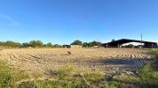 Riding school  tarn