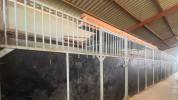 Riding school  tarn