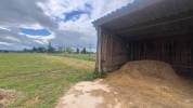 Riding school  tarn