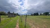 Riding school  tarn