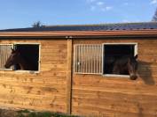 Pension chevaux Ecurie Dressage