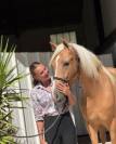 Magnifique cheval Palomino Andalou 