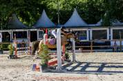 Poney C - WELSH Part Bred 