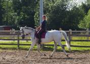 Cherche demi-pension - Chipita Biolley