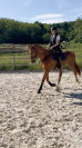 Trotteur plein papiers 11 ans, loisir ou balade 