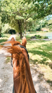 Trotteur plein papiers 11 ans, loisir ou balade 
