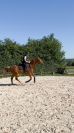 Trotteur plein papiers 11 ans, loisir ou balade 