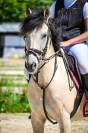 Pony da completo