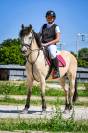 Pony da completo