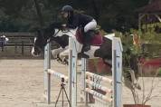 étalon wpb maitre d'école concours et agréé pour repro