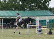 &eacute;talon wpb maitre d'&eacute;cole concours et agr&eacute;&eacute; pour repro