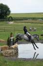 Hongre de 8 ans Pur-sang anglais 