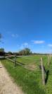 Equestrian property  Ain
