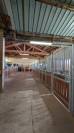 Equestrian property  Ain
