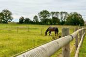Equestrian property  Rhône