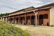 Equestrian property  Rhône