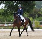 Jument d'avenir 4 ans SF x Galaxie