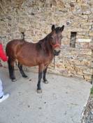 Ponette onc