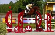 Urgent poney D 2024