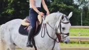 Jument 8 ans top amateur 