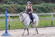 Castrone Lusitano In vendita 2016 Grigio ,  Zenite